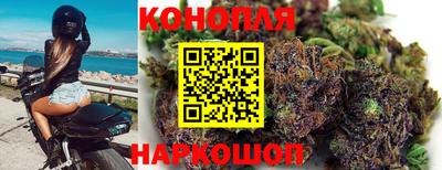 эйфоретик Жуковский
