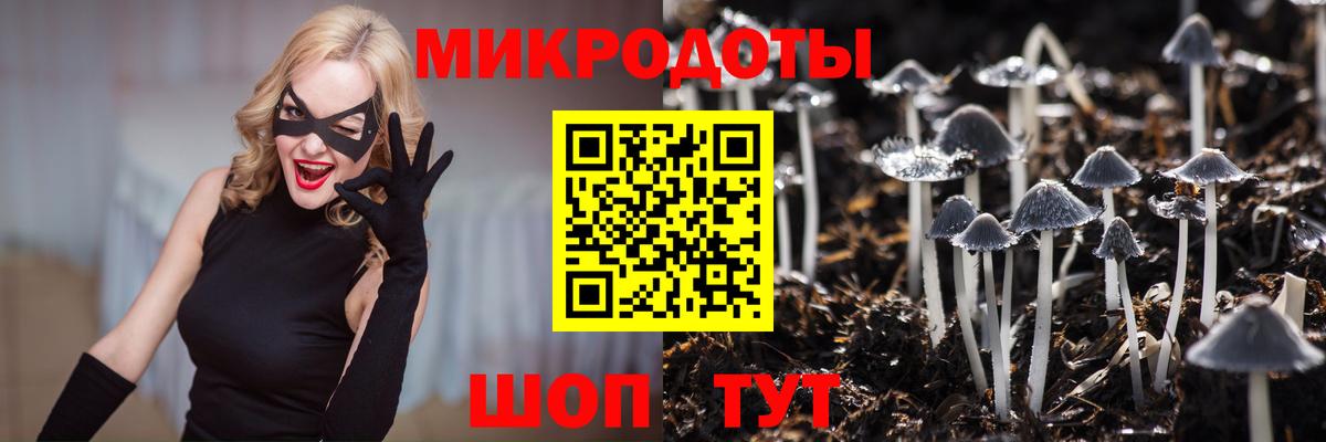 Псилоцибиновые грибы Cubensis Ливны